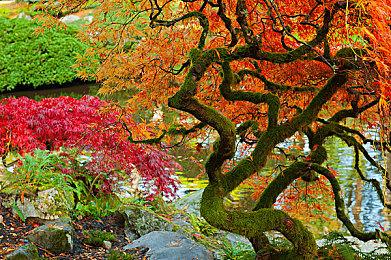 Xbox页面显示：《战地2042》评级17+ B测容量近100GB